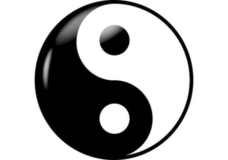 yin-yang-vector